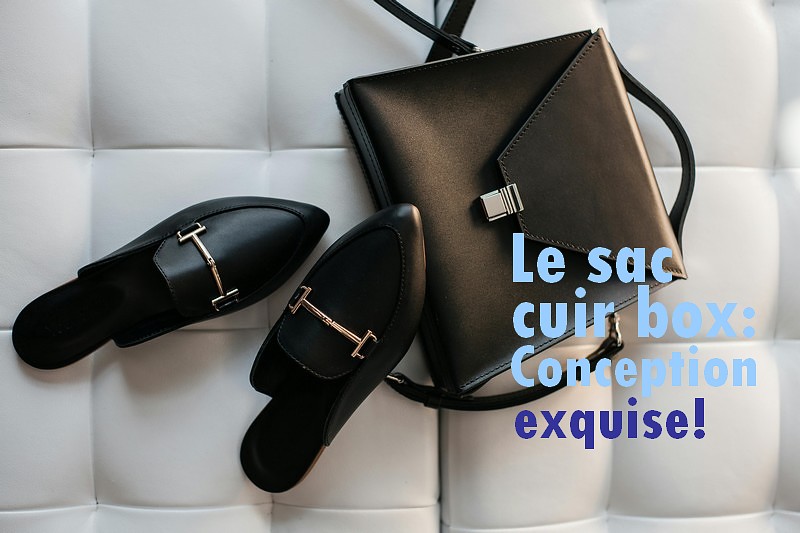 Visuel sac à main et chaussures en cuir box, conception de sac à main haut de gamme